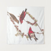 冬のオードボンズパープルフィンチ3羽 タペストリー (正面(横))