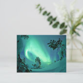 冬のオーロラ ポストカード (スタンド正面)