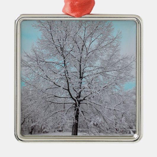冬のカシのオーナメント メタルオーナメント (正面)