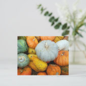 冬のカボチャ ポストカード (スタンド正面)