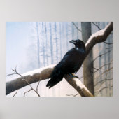 冬のカラスの森 ポスター (正面)