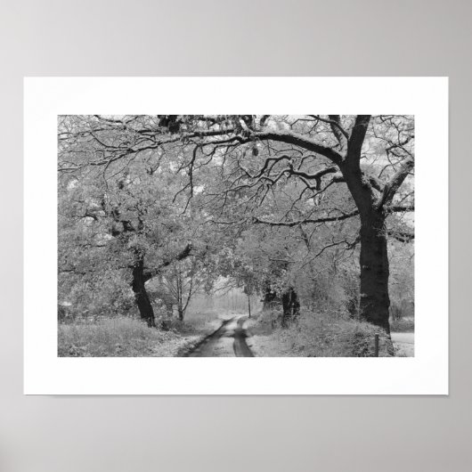 冬のカントリーロード：イギリスのチェシャ ポスター (正面)