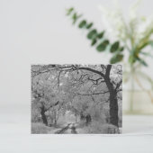 冬のカントリーロード:イギリスのチェシャ ポストカード (スタンド正面)