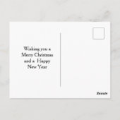 冬のカーディナル、松の枝と雪の結晶 ポストカード (裏面)