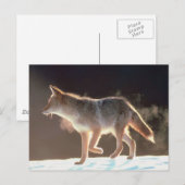 冬のキツネトロッツ ポストカード (正面/裏面)