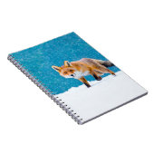 冬のキツネ。赤狐、ハゲワシ、鼻 ノートブック (右側)