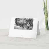 冬のキツネ(1904年)ブルーノ・リジェフォス サンキューカード (裏面)