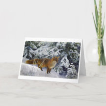 冬のキツネ（1904年）ブルーノ・リジェフォス