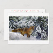 冬のキツネ（1904年）ブルーノ・リジェフォス ポストカード (正面/裏面)