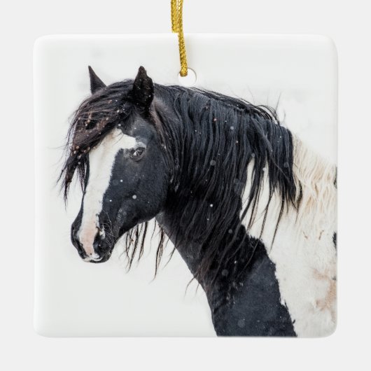 "冬のキング"ワシャキーオーナメント セラミックオーナメント (正面)