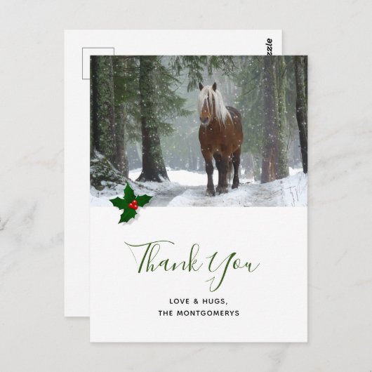 冬のクリスマスに風光明媚な茶色の馬ありがとう ポストカード (正面/裏面)