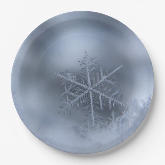 冬のクリスマス97 ペーパープレート (正面)