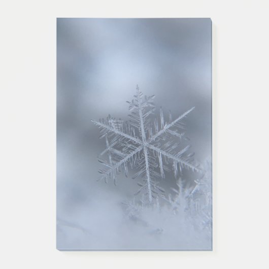冬のクリスマス97 ポストイット (正面)