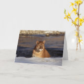 冬のクーガー カード (黄色い花)