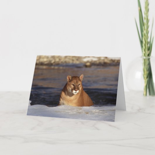 冬のクーガー カード (正面)