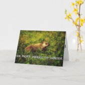 冬のグリーティングカードの6週間 カード (黄色い花)