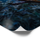 冬のコアラとサザンライト ポスター (コーナー)