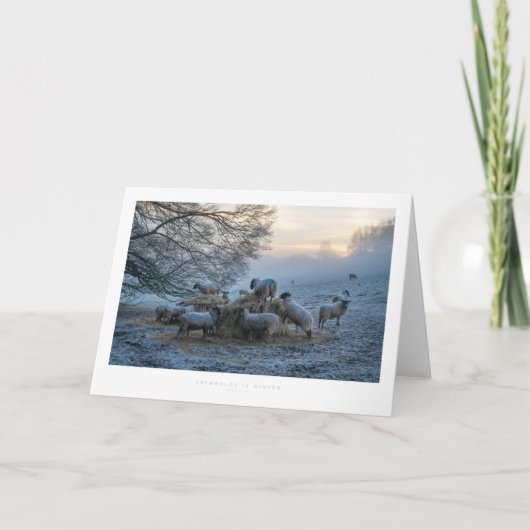 冬のコッツウォールズ カード (正面)