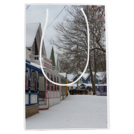 冬のコテージ- Martha's Vineヤード ミディアムペーパーバッグ