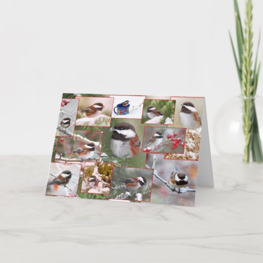 冬のコラージュの《鳥》アメリカゴガラ シーズンカード (正面)