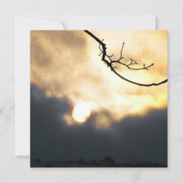 冬のサンライズ電話 シーズンカード