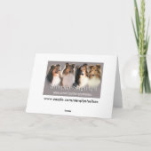 冬のシェットランド・ シープドッグカード シーズンカード (裏面)