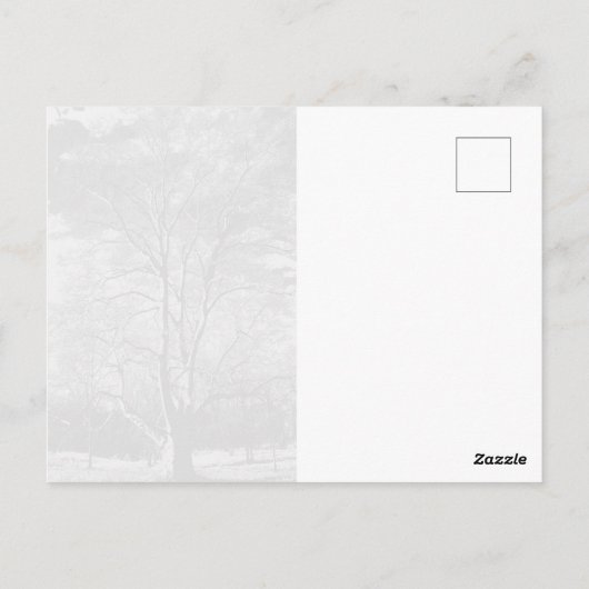 冬のシカモアツリー ポストカード (裏面)