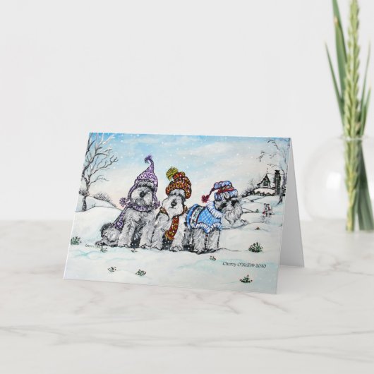 冬のシュナウザー シーズンカード (正面)