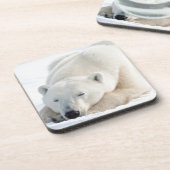 冬のシロクマ コースター (左側)