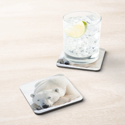 冬のシロクマ コースター (右側)