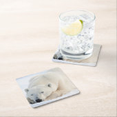 冬のシロクマ スクエアペーパーコースター (インサイチュ)