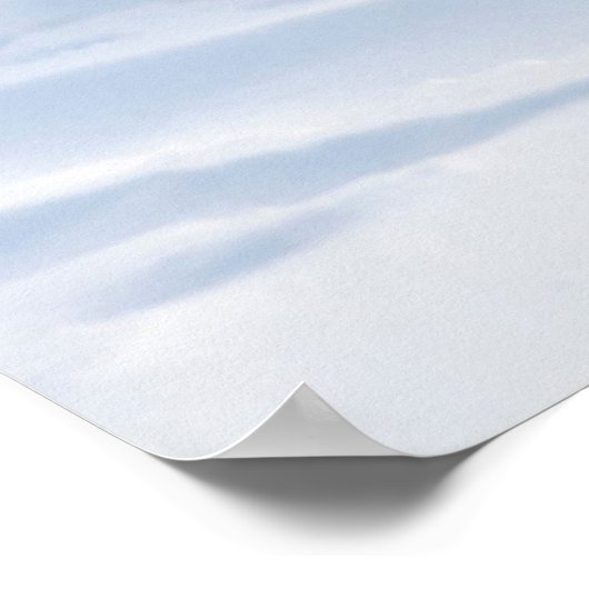 冬のシロクマ ポスター (角)