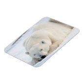 冬のシロクマ マグネット (左側)