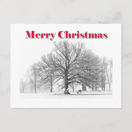 冬のシーンのクリスマスカード（はがき） シーズンポストカード (正面)