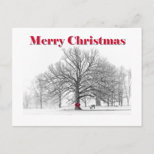 冬のシーンのクリスマスカード（はがき） シーズンポストカード (正面)