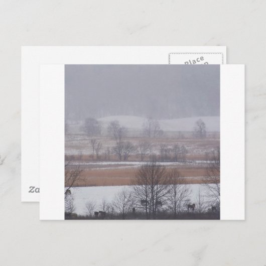 冬のシーンカデズコーブスモ素晴らしークマウンテン ポストカード (正面/裏面)