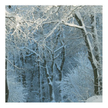 冬のシーン冬ワンダーランド雪の背景