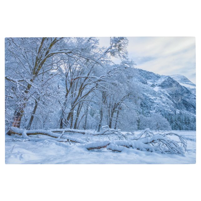 冬のシーン メタルプリント (正面)