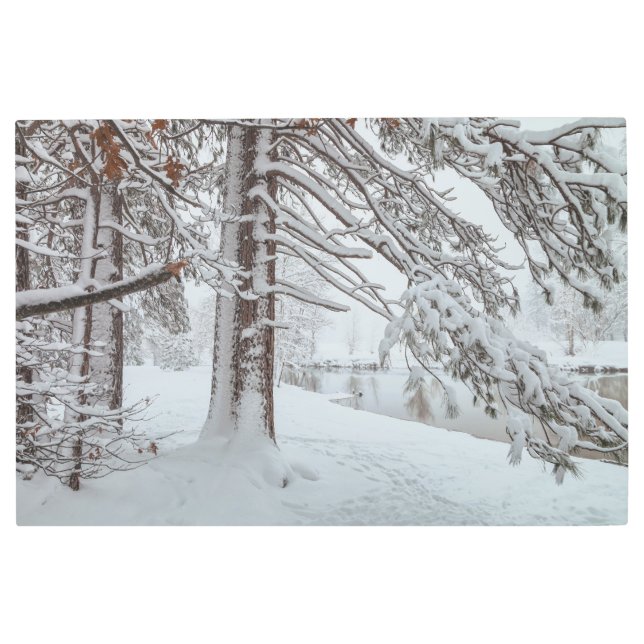 冬のシーン メタルプリント (正面)