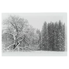 冬のシーン メタルプリント