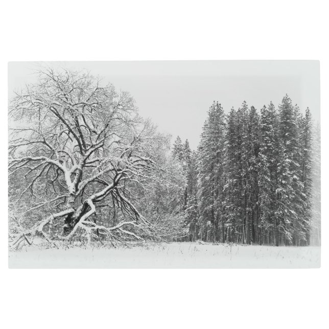 冬のシーン メタルプリント (正面)