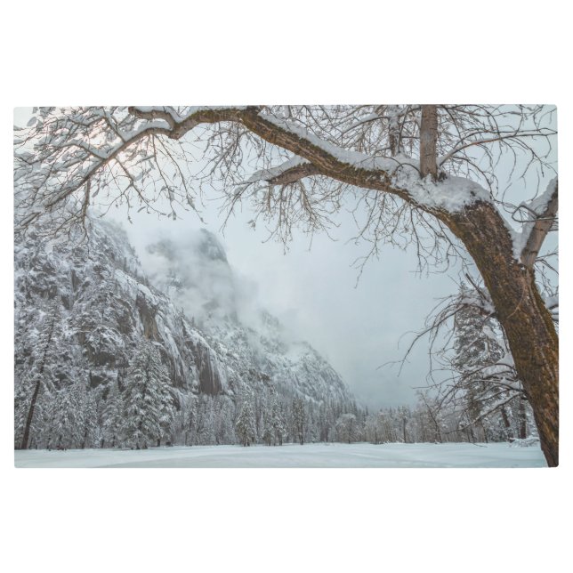 冬のシーン メタルプリント (正面)