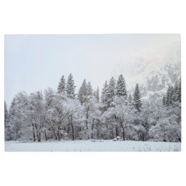 冬のシーン メタルプリント