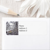 冬のシーン ラベル (インサイチュ)