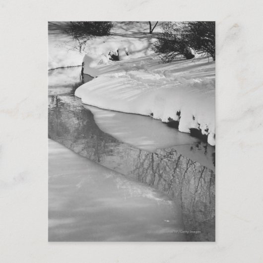冬のストリームB&W ポストカード (正面)