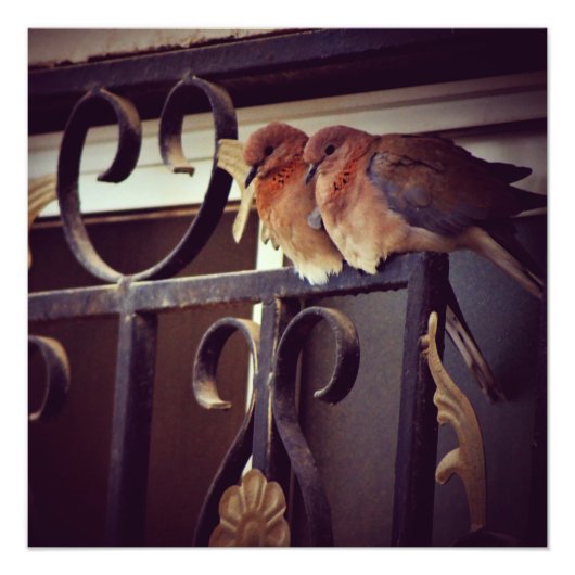 冬のスナグルズ フォトプリント            (正面)