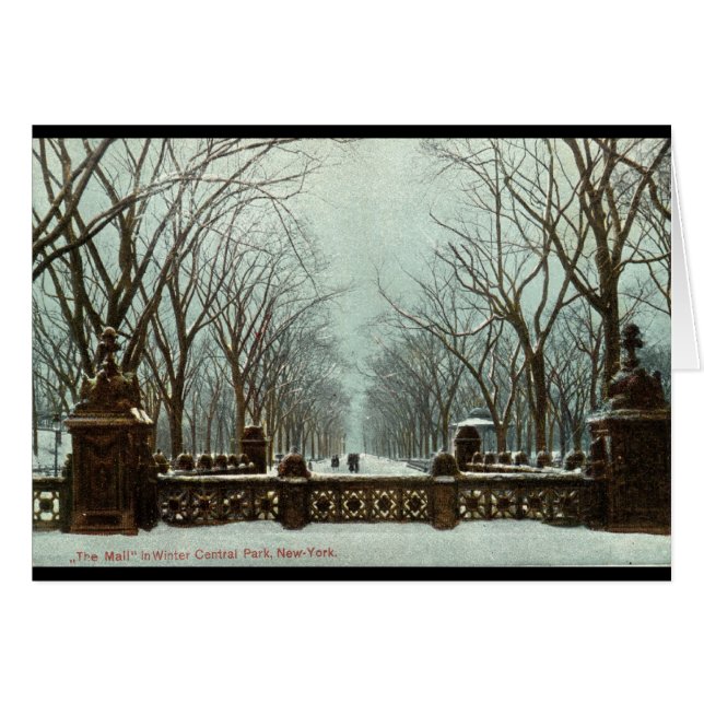 冬のセントラル・パークNYのヴィンテージc1910 (正面横)