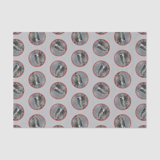 冬のダウンウッドペッカーのオリジナル写真 薄葉紙