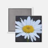 冬のデイジー マグネット (正面/裏面)