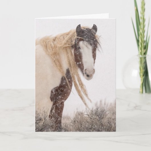 「冬のトペカ」ホリデーカード カード (正面)